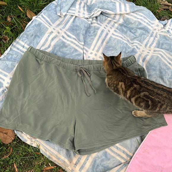 NWT Terra & Sky Green Knit Shorts Elastic Drawstring Waist Sweats 4X (28W-30W) - Picture 7 of 16